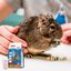 Beaphar Care+ Ração para degus, , large Indicador imagem número 2